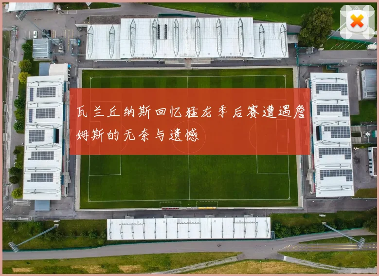 瓦兰丘纳斯回忆猛龙季后赛遭遇詹姆斯的无奈与遗憾