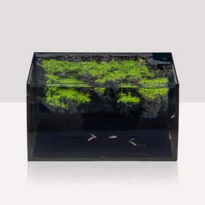 8 Gallon LED Glass Aquarium Kit for Starters with 7W Power Filter Pump