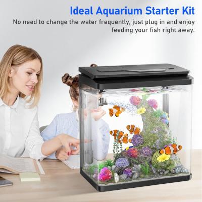 8 Gallon Fish Tank Glass Aquarium Tank with Thermometer 7 LED Light Colors Betta Fish Aquarium Starter Kit