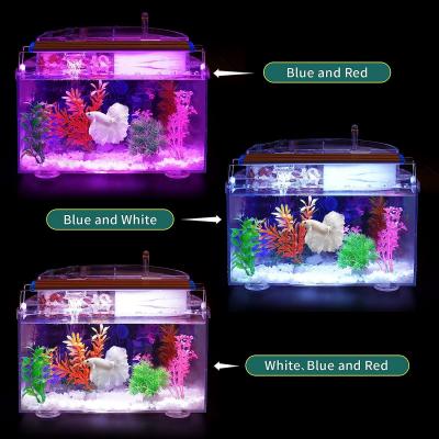 Night view 3 gallon aquarium fish tank kit